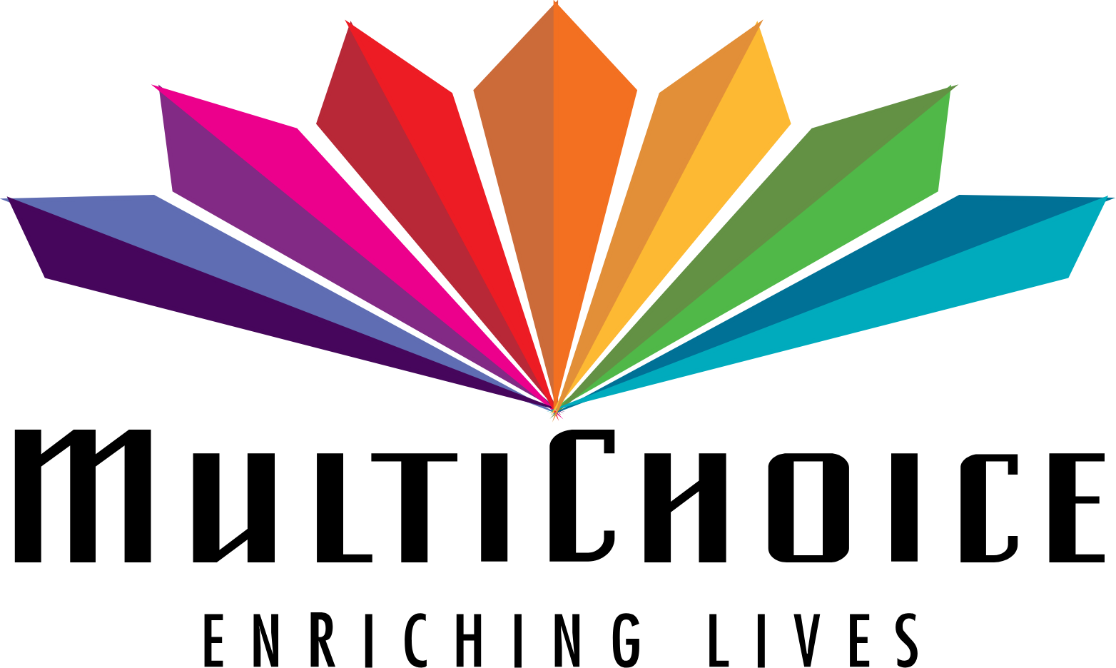 Multichoice Logo - Enriching lives Multichoice Logo - Enriching lives